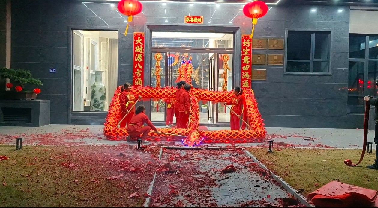 蛇舞新春，龍騰瑞氣